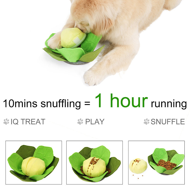 The Snout Sprout