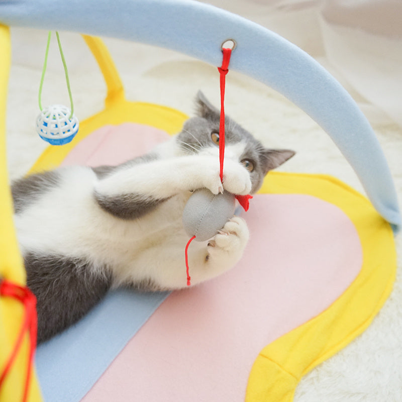 The Kitty Cradle