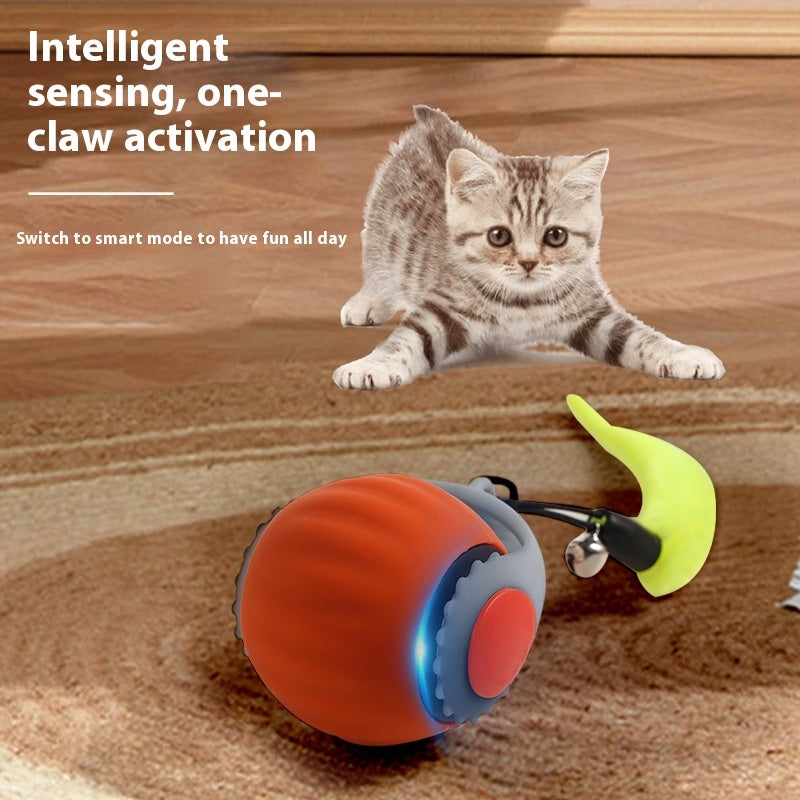 Zoomie Ball for Cats