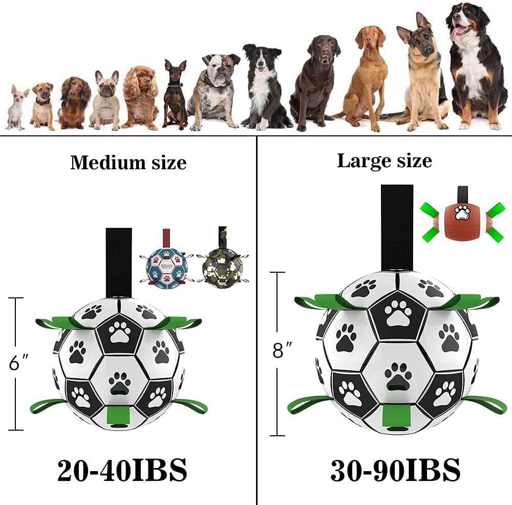 Chase the Goal –  The Soccer Ball for Dogs