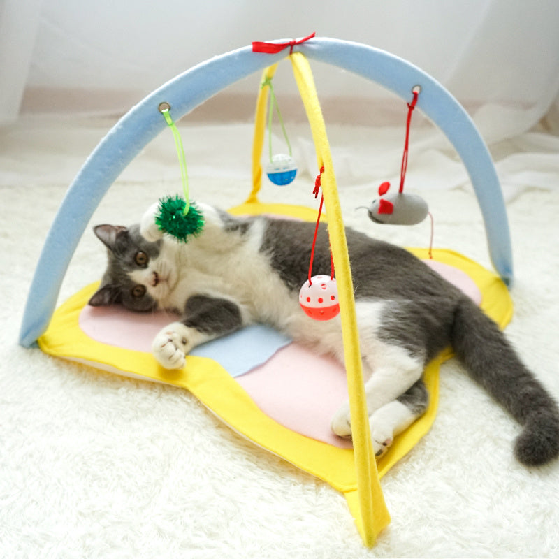 The Kitty Cradle