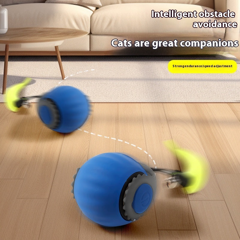 Zoomie Ball for Cats